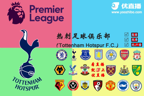 2019-20赛季<a href=/zuqiumianfei/hotspur/ target=_blank class=infotextkey>热刺</a>阵容名单一览